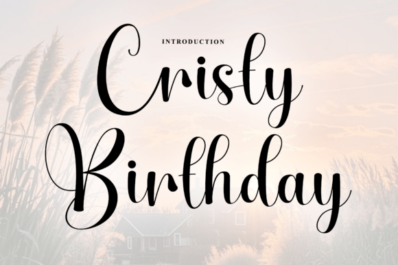 Cristy Birthday: A Script Font for Impactful Digital Design