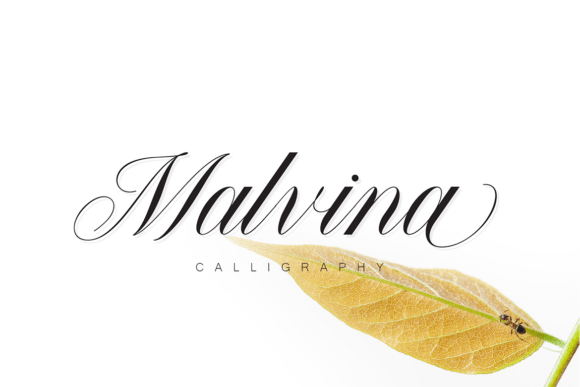 Malvina: A Timeless Script Font for Web Design